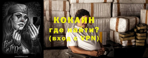 крисы Алексин